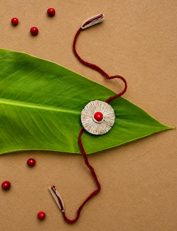 Vritt | Seed Rakhi
