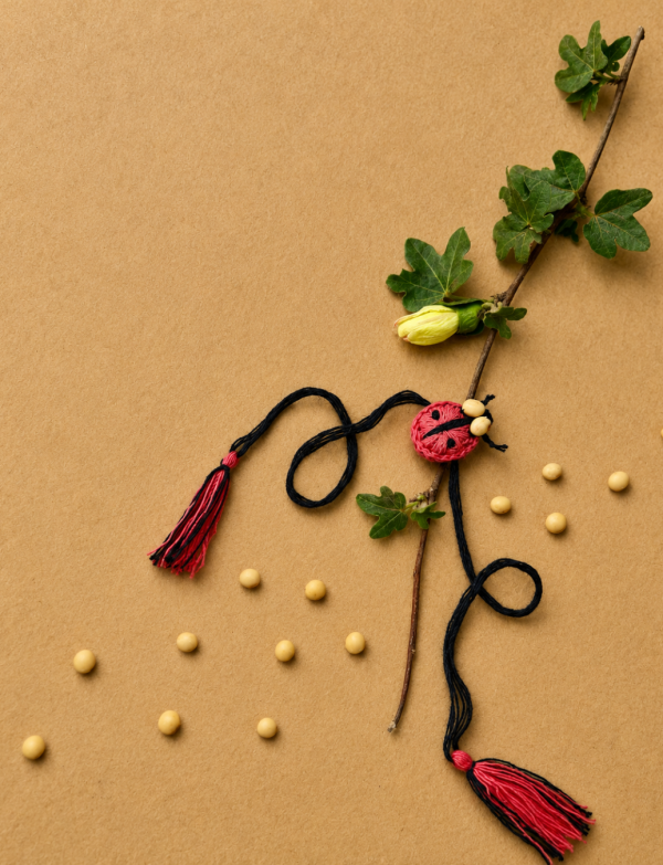 Vaanya | Seed Rakhi