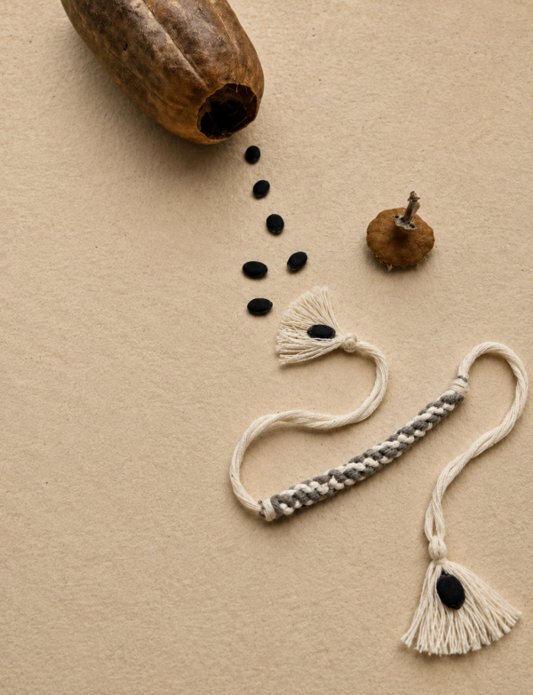 Anubandh | Seed Rakhi