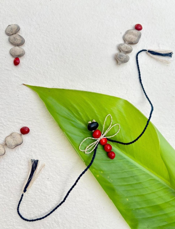 Aranya | Seed Rakhi